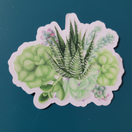 Green Succulents - Transparent Sticker